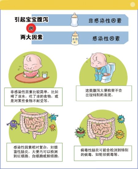 澳门四个月宝宝痢疾怎么办？专家解读与应对策略