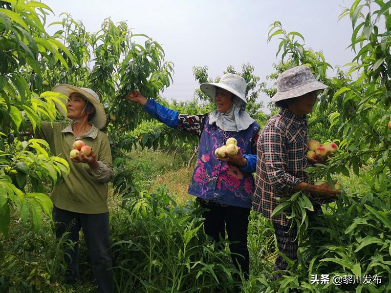 江苏金发科技副总，引领企业创新发展的杰出人物