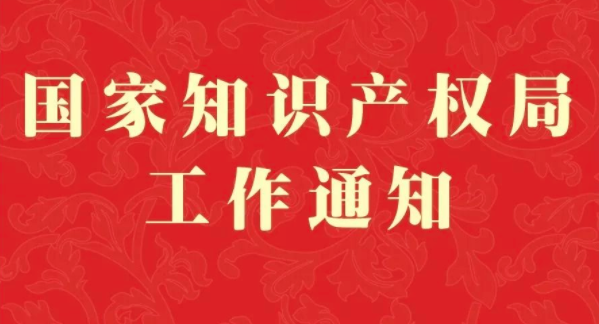 广东省发布复课通知，澳门知识专家解读其深远影响