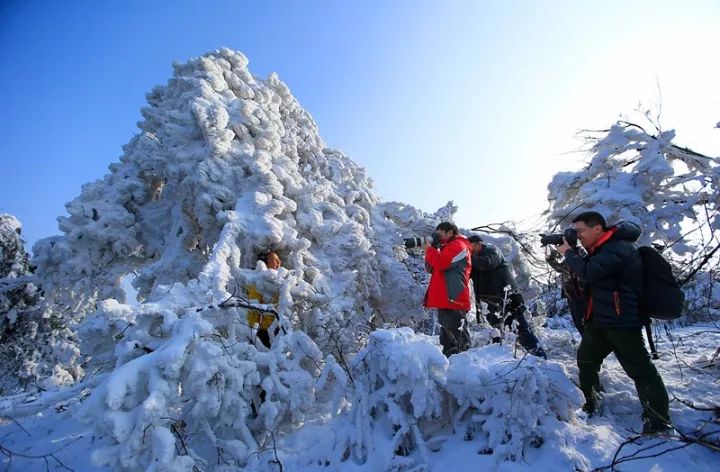 广东省周边玩雪，冬季雪上乐园的绝佳选择