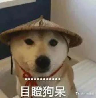 广东省犬类管理规定的深度解读