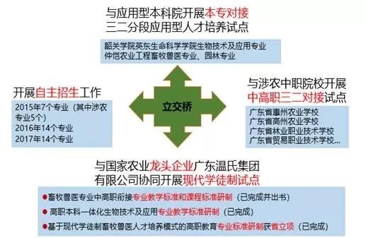 广东省教育行业营销推广策略深度解析