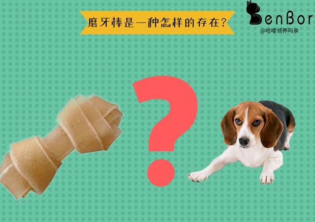 澳门犬类磨牙棒使用指南，狗磨牙棒几个月开始吃？