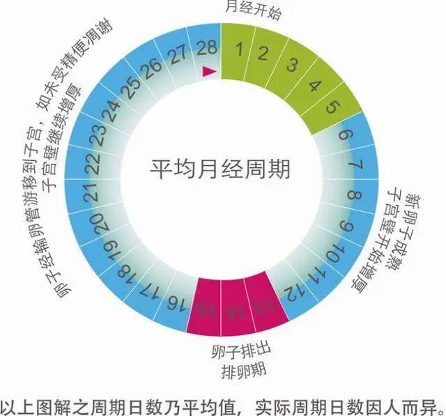 月经每月推迟一个星期，正常与否？