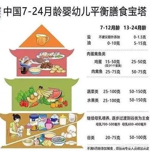 九个月宝宝的营养需求与面条辅食的选择