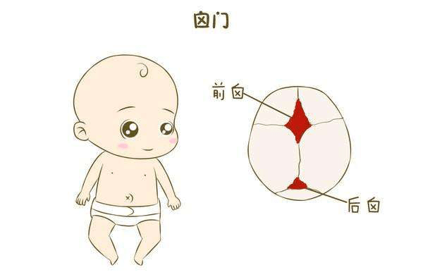 澳门知识专家解读，九个月前卤门闭合现象及其影响