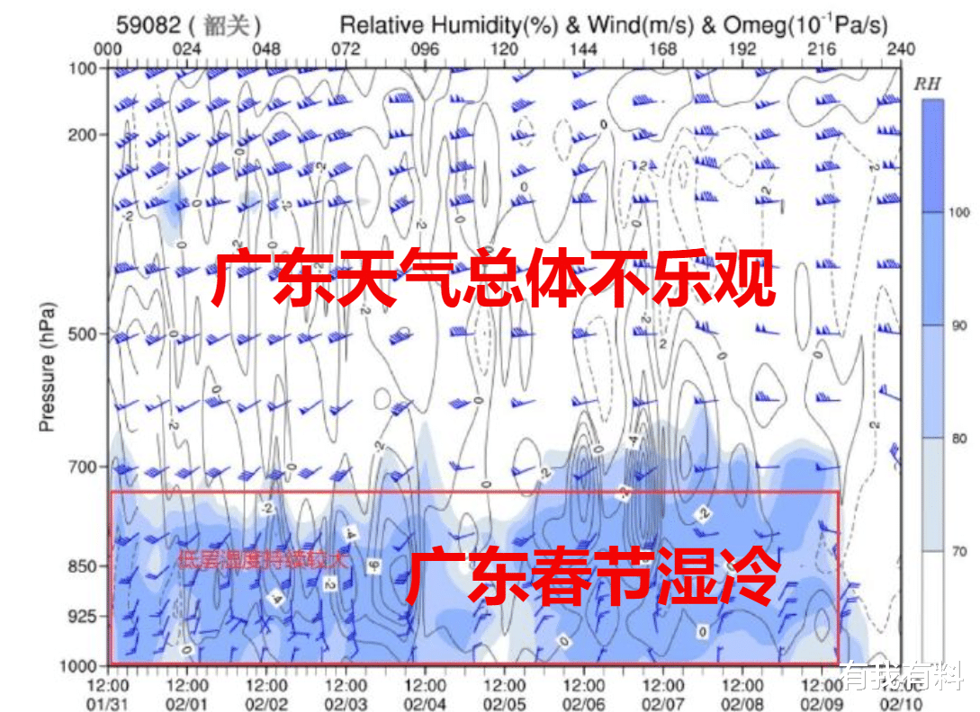 广东省春节天气预测，深度解析与前瞻性思考