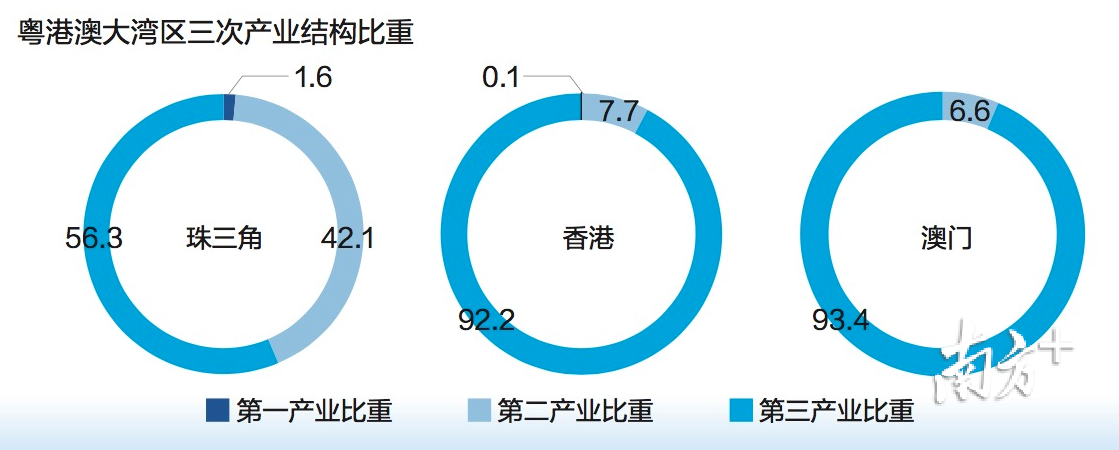 广东金钰有限公司，深度解析其在澳门及粤港澳大湾区的角色与影响