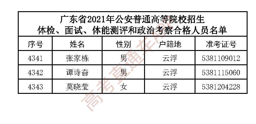 广东省公务员公安面试，考察要点与应对策略