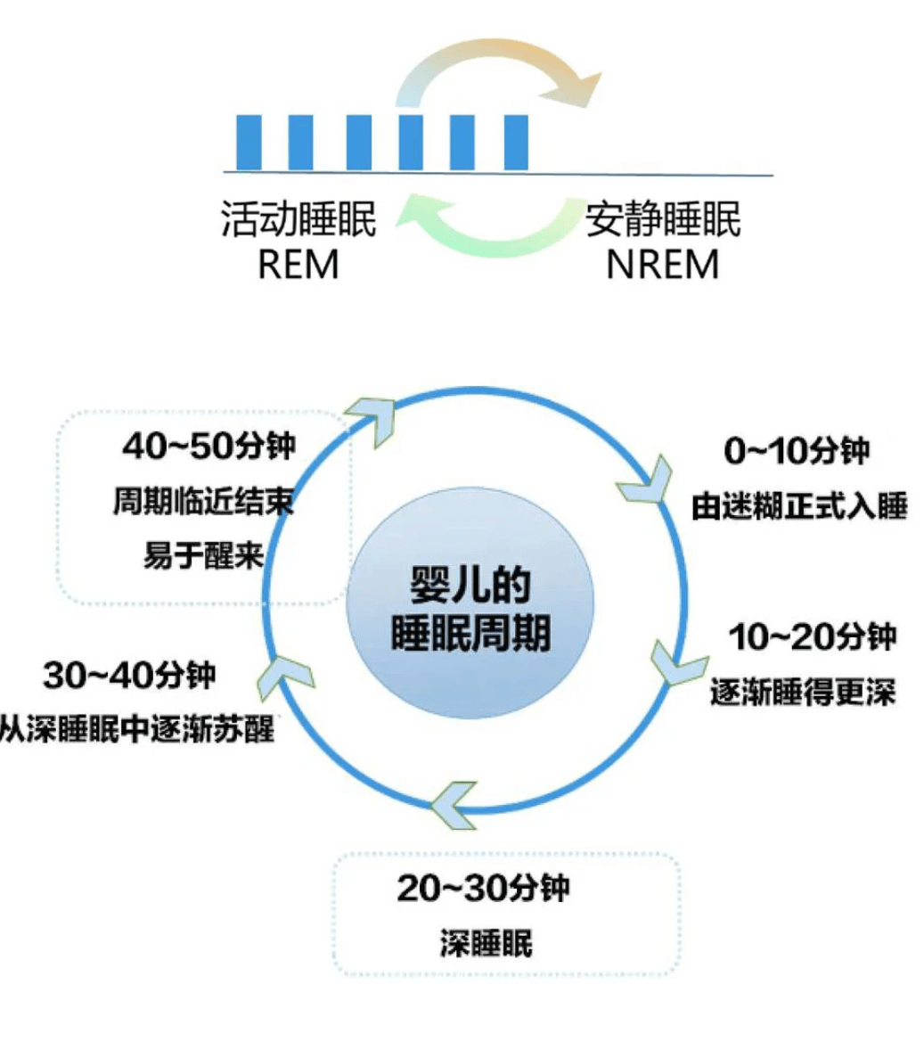 关于17个月宝宝的睡眠时间，深度解析与指导建议