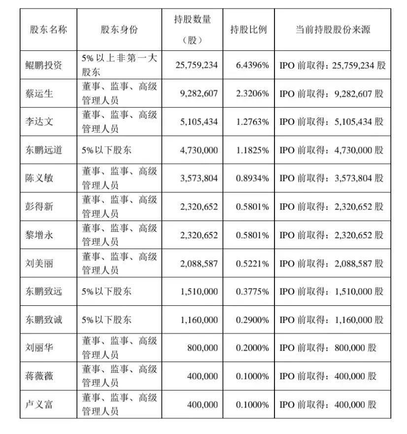 广东省陆丰市湖东镇，历史底蕴与现代发展的融合典范