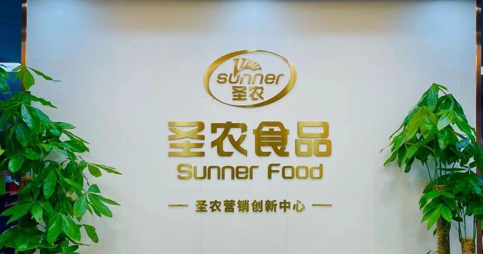 广东圣龙食品有限公司，深度解析其在食品行业的地位与贡献